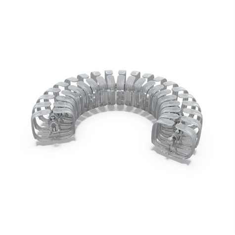 VERTEBRA + 5 fixations