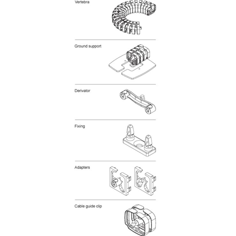 VERTEBRA + 5 fixations