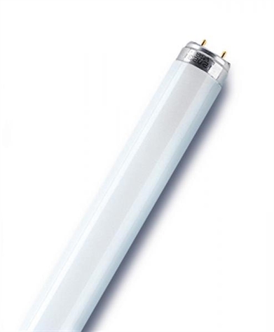 Tube fluo 18W cool white